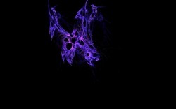 Apo7x-140320-8 xl-black.jpg